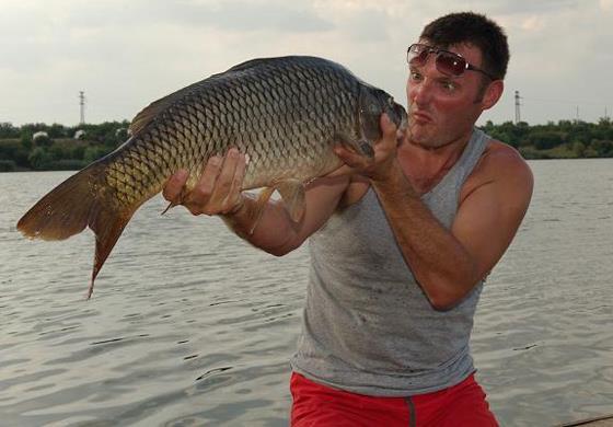 crapi de sarulesti - 1456079653684021359247693600292n.jpg